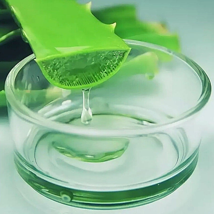 hyaluronsäure aloe vera Dubben beauty