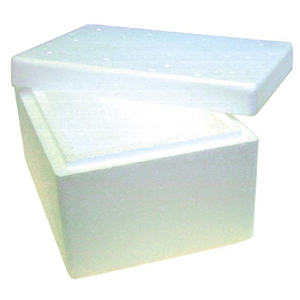 Styrofoam cooler disposables