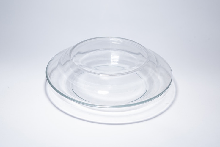 Borosilicate Glass Petri Dishes