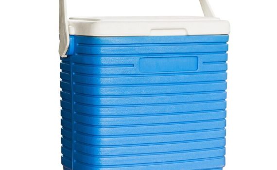 Foam Cooler Box