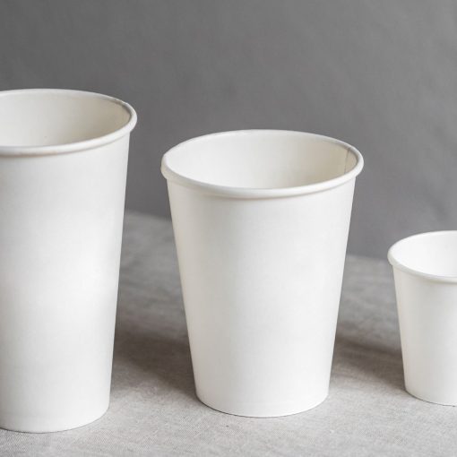 Disposable portion cups