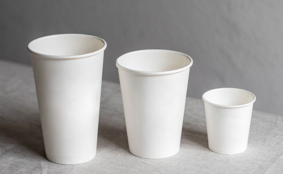 Disposable portion cups