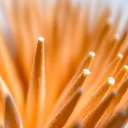 Microbrush Applicator Brush