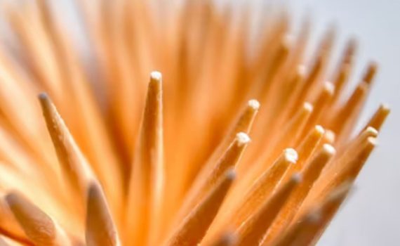 Microbrush Applicator Brush