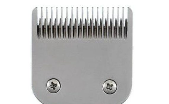 Body Clip Blade
