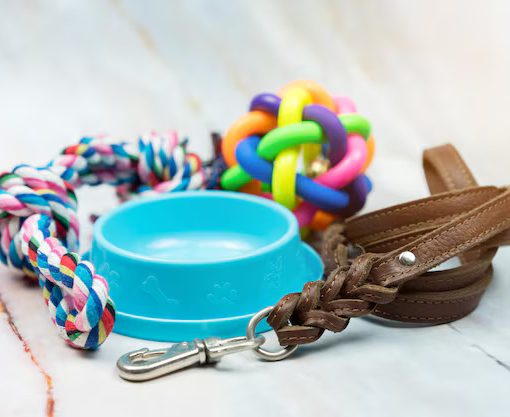 pet accessories
