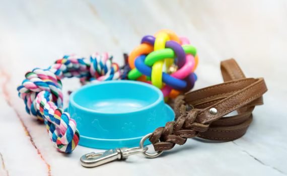 pet accessories