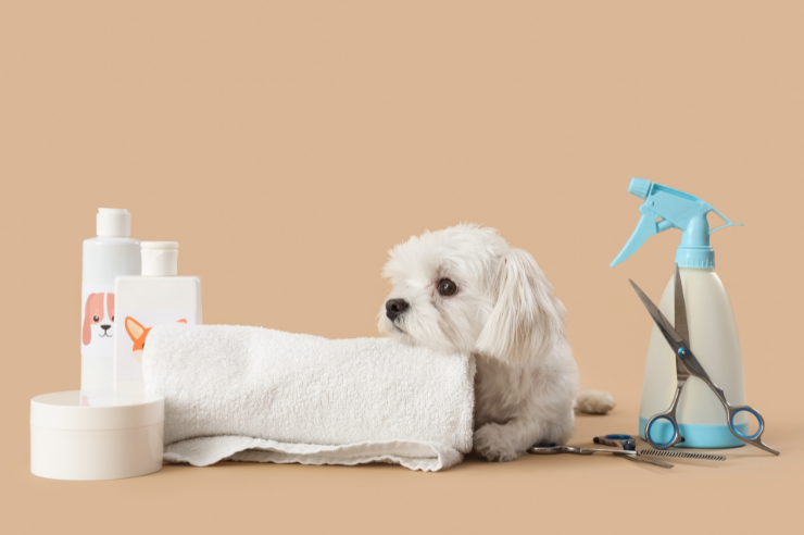 Pet Care Supplies