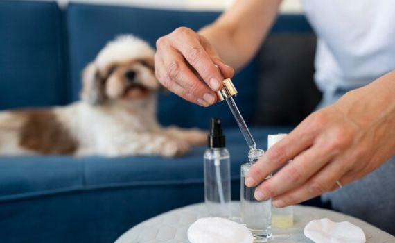 Vet iodine solution for dogs