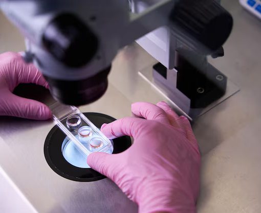 Microscope Glass Slide