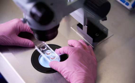 Microscope Glass Slide