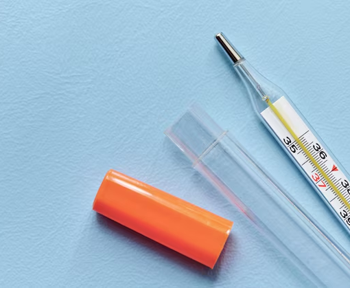 Thermometer Sheath Cover