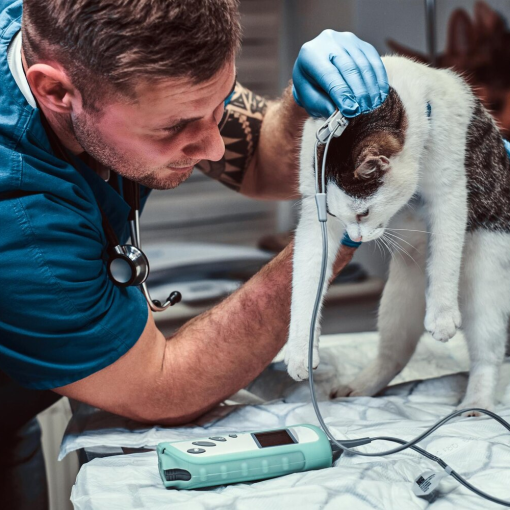Pet Care Supplies