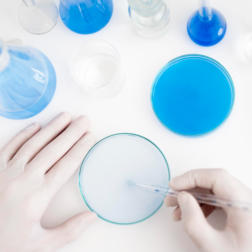 petri dish​