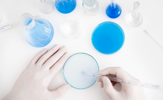 petri dish​