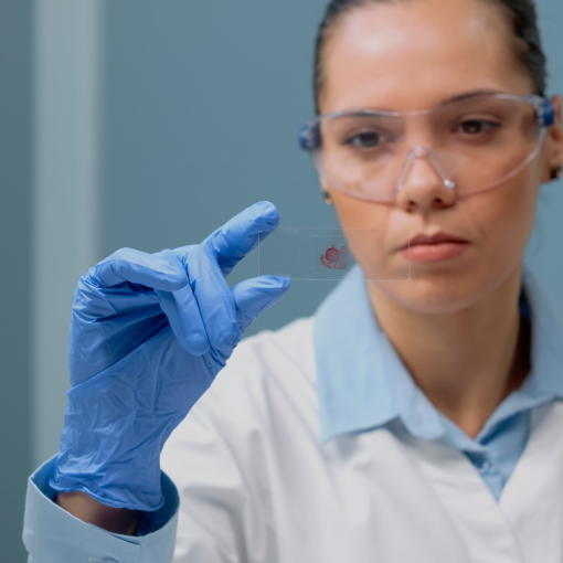 microscope glass slide