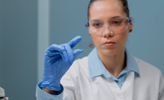 microscope glass slide