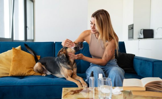 pet care