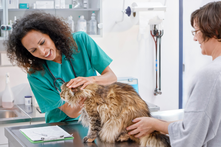 Veterinary Products