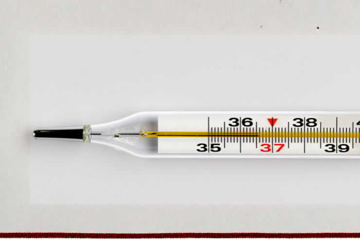 Laboratory Thermometer