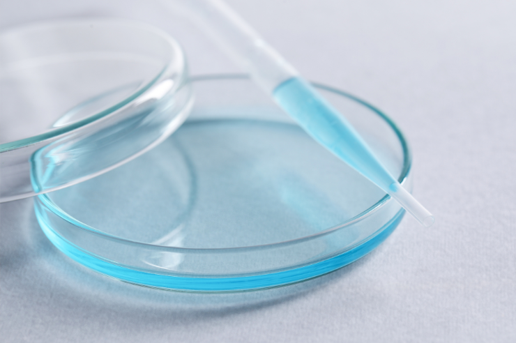 Transfer Pipette