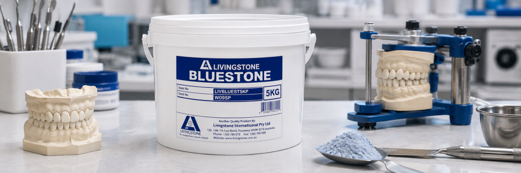 Livingstone Bluestone dental laboratory stone pail with dental casts and laboratory equipment
