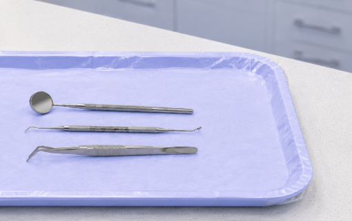 Dental instrument tray with clinical instruments