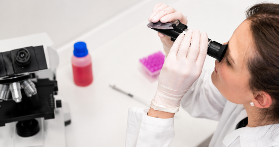 Researcher performing liquid concentration testing with a Brix refractometer.