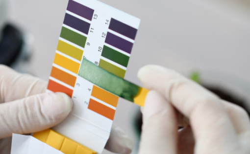 Colour-changing pH test strip used to identify acidic and alkaline solutions