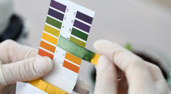 Colour-changing pH test strip used to identify acidic and alkaline solutions