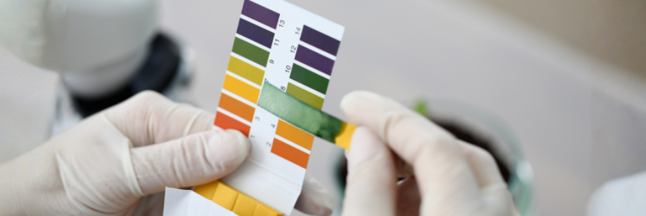 Colour-changing pH test strip used to identify acidic and alkaline solutions