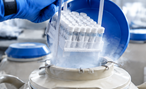 Laboratory technician placing cryotubes into a cryogenic storage container for sample preservation