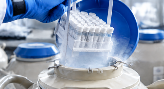 Laboratory technician placing cryotubes into a cryogenic storage container for sample preservation